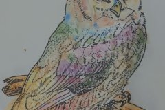 Art - Water colour Owls