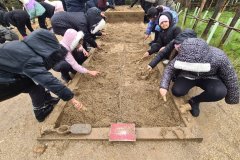 Butser Farm Visit 2025