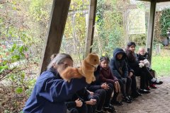 Sutton Ecology Centre